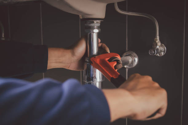Best Leak Detection Services  in Llington, MI
